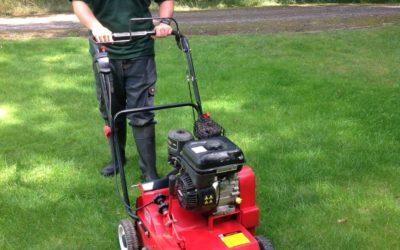 Lawn Scarification – The Ultimate Solution for Lawn Restoration