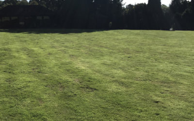 What are the Benefits of Lawn Aeration?